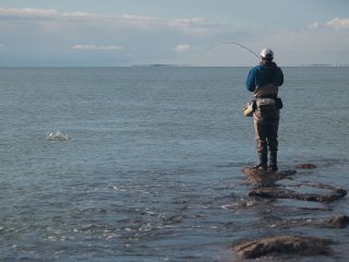 Fly fishing for schoolies