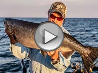 Lake Ontario Salmon