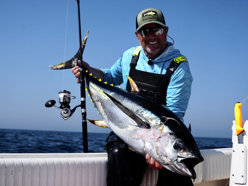 yellowfin