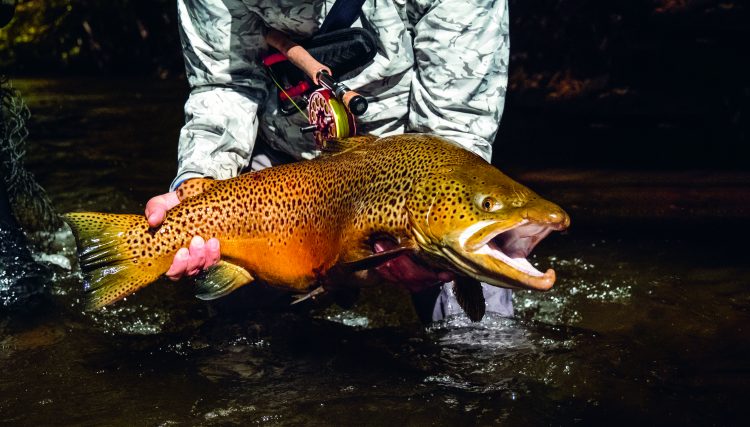 Chris Megan caught this brown trout at Old Orchard Creek in early October.