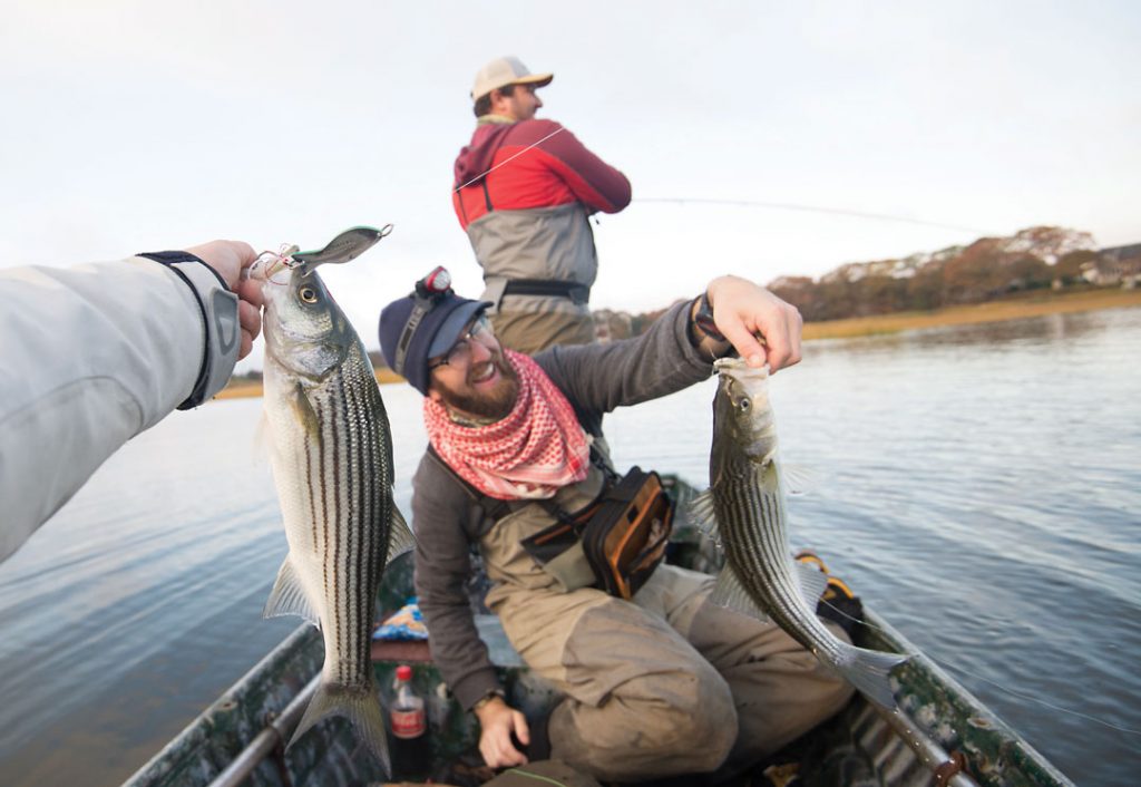 a pair of schoolies