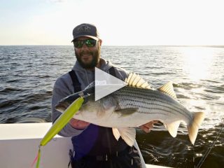 Raritan Bay Stripers