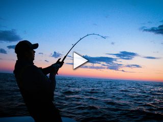 Fishing Massive Schools of Bluefin Tuna