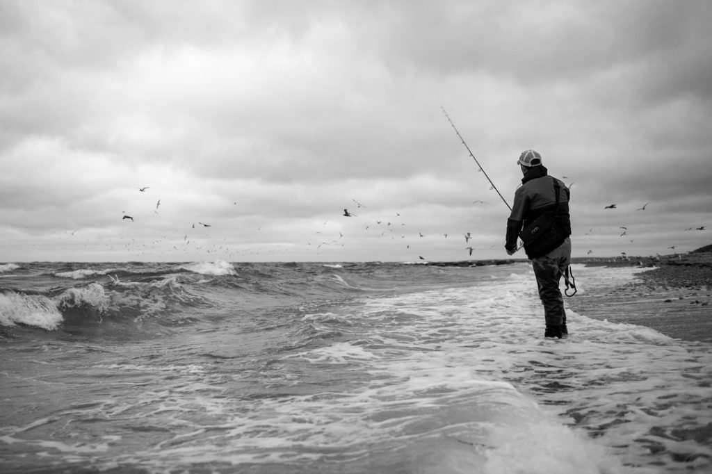 surf fishing