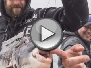 Trophy Tautog Trip