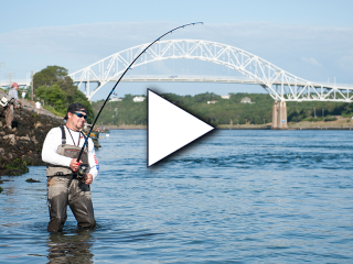 Canal angler fishing